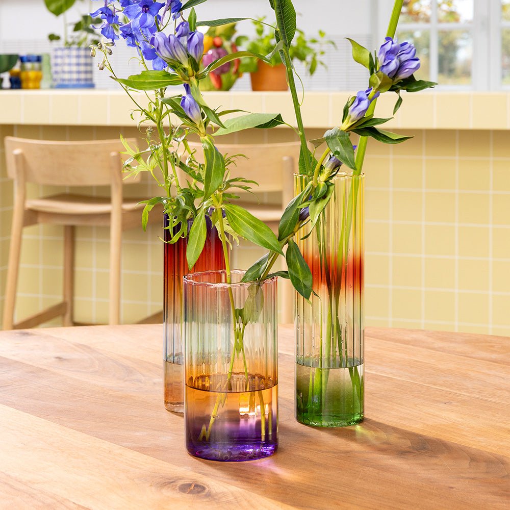 Vase Gradient Evening Wide