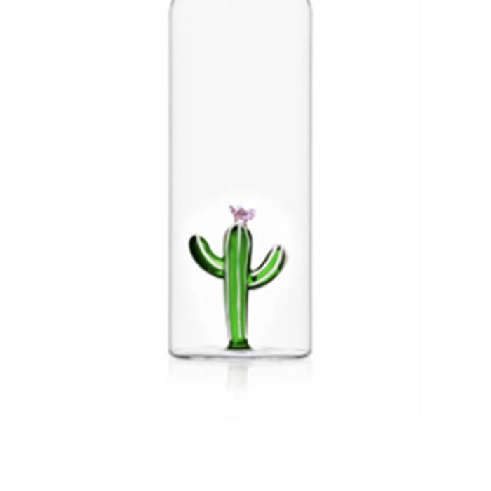 Bottle with Green Cactus Desert Plants
