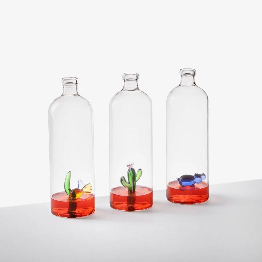 Bottle with Green Cactus Desert Plants